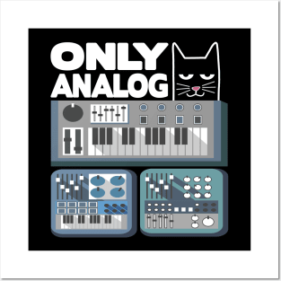 Only Analog Cat Modular Synthesizer Synth Drum Posters and Art